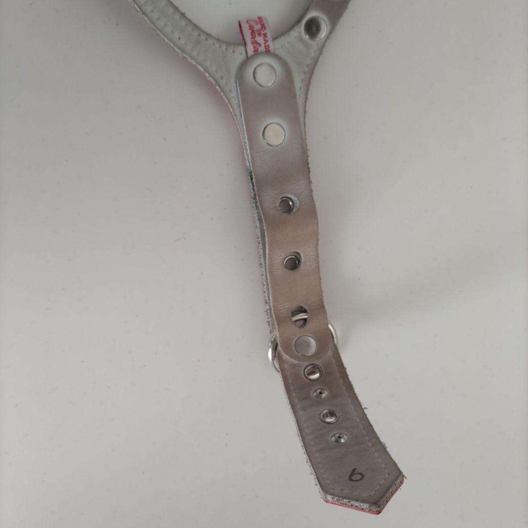 バディ－ベルト ハ－ネスBBベルト ６号エナメルレッド！ スワロフスキー付き