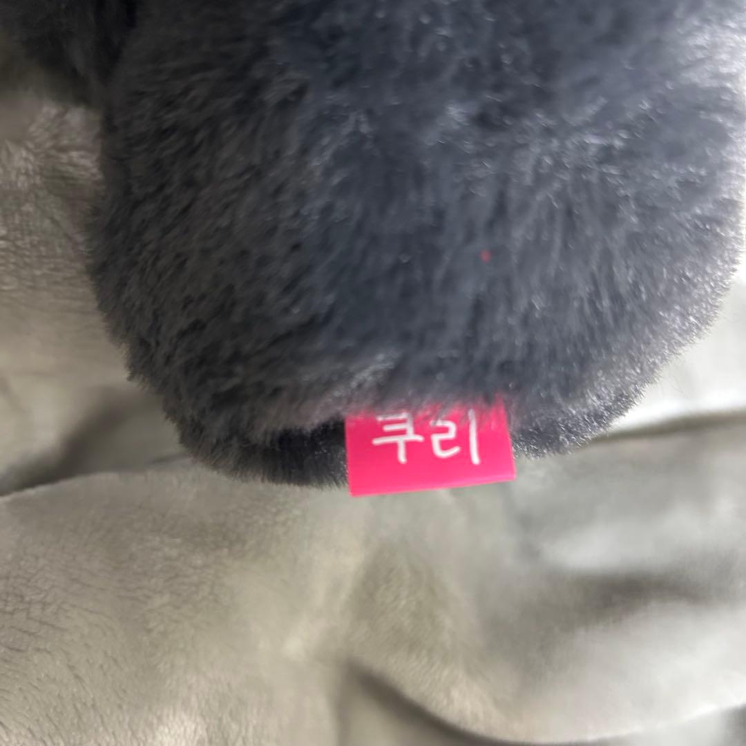 NCT WISH リク クリ キャラクターバッグ md ソウルコン