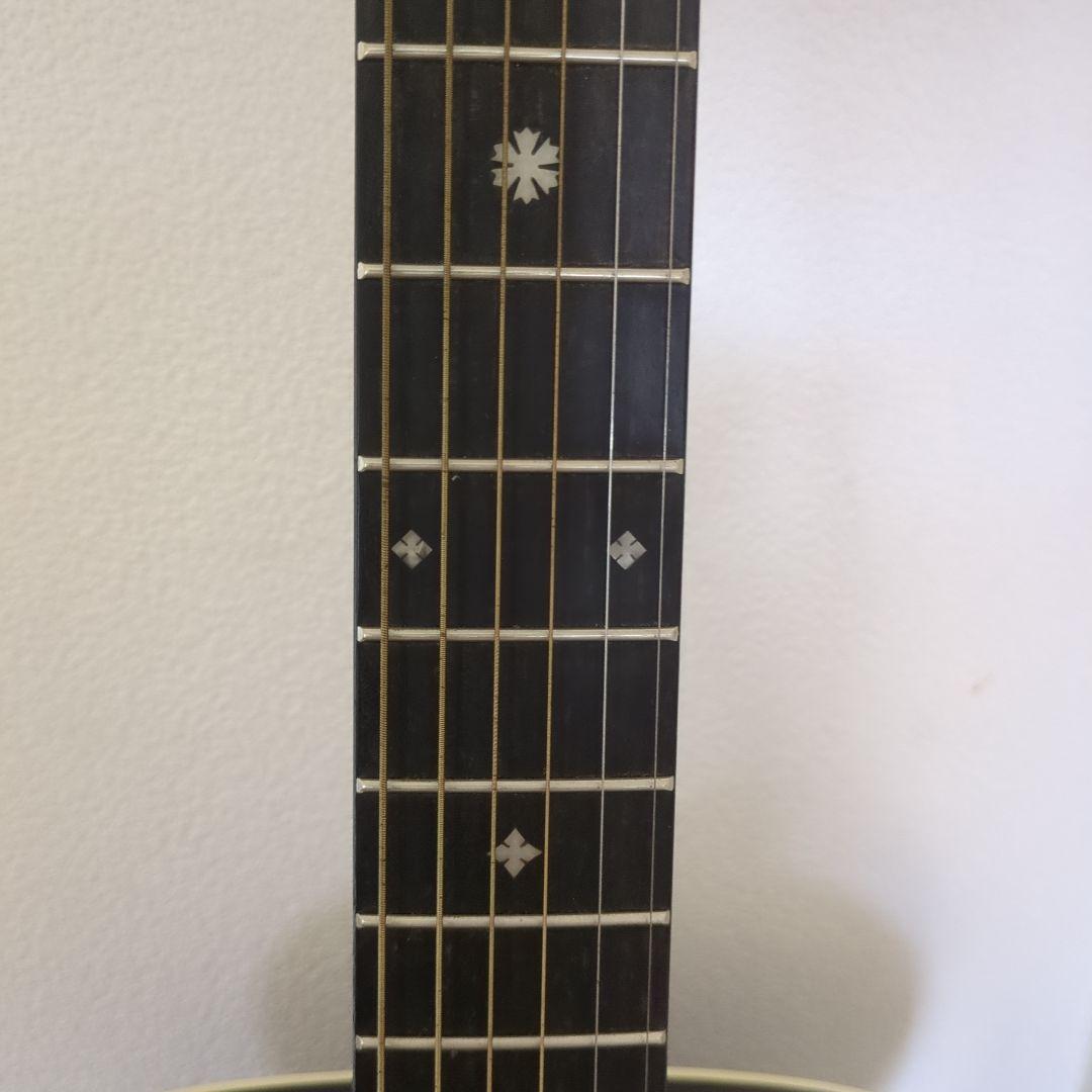 アコースティックギター ギターケース付き ARIA
