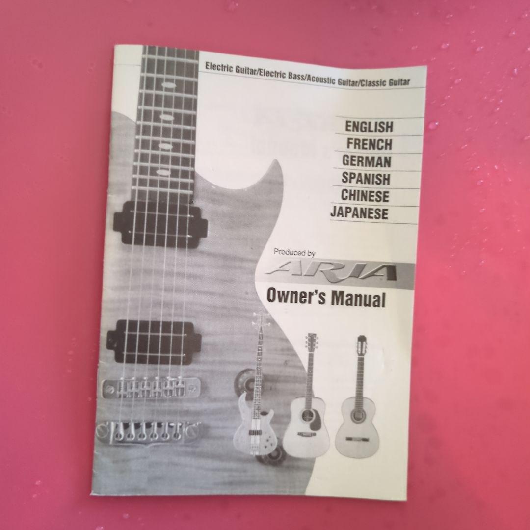 アコースティックギター ギターケース付き ARIA