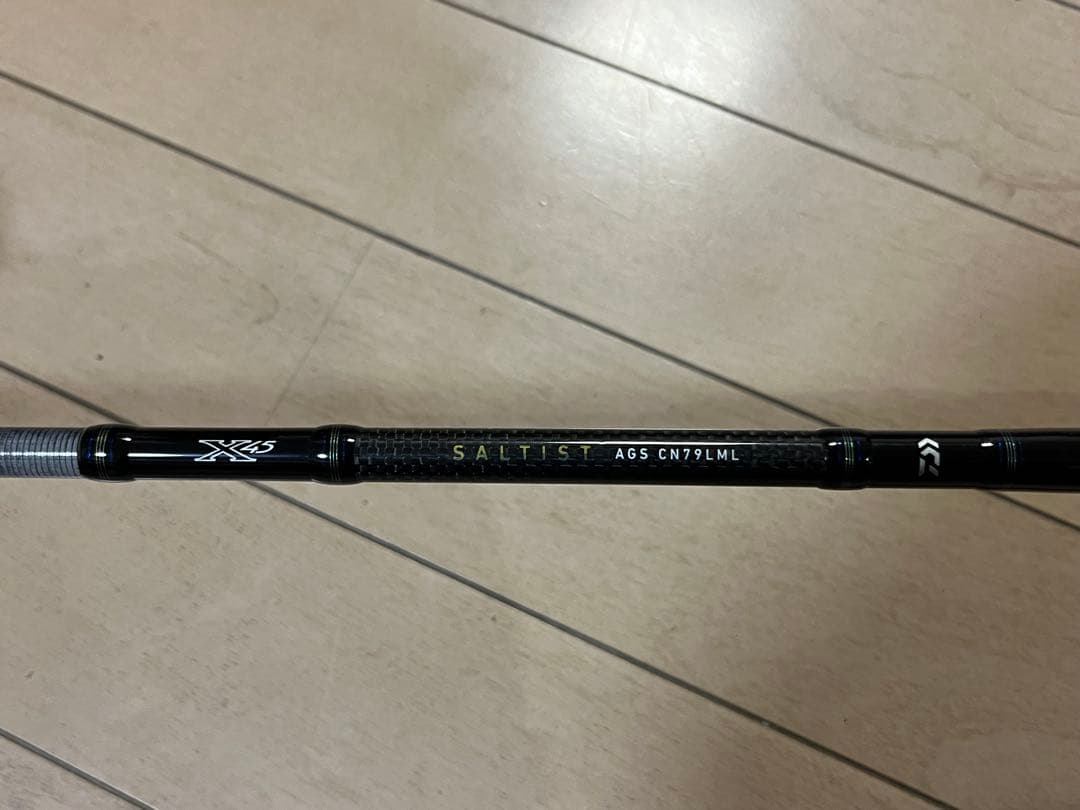 ダイワDAIWA チニングロッドSALTISTソルティストAGS CN79LML