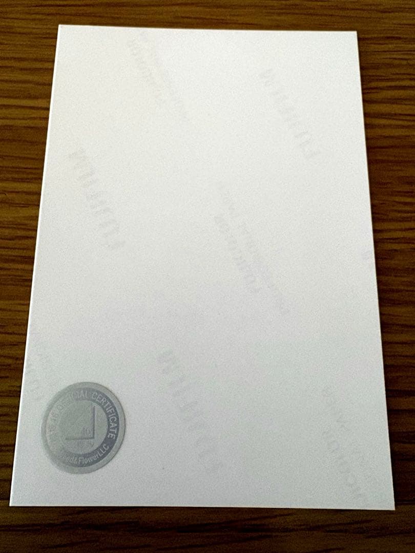 だ*け様 櫻坂46 井上梨名　2025年　サンタ衣装　サイン　直筆