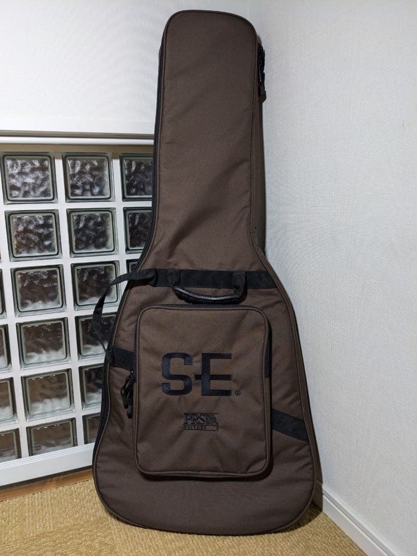 SX Telecaster Thinline (改造)