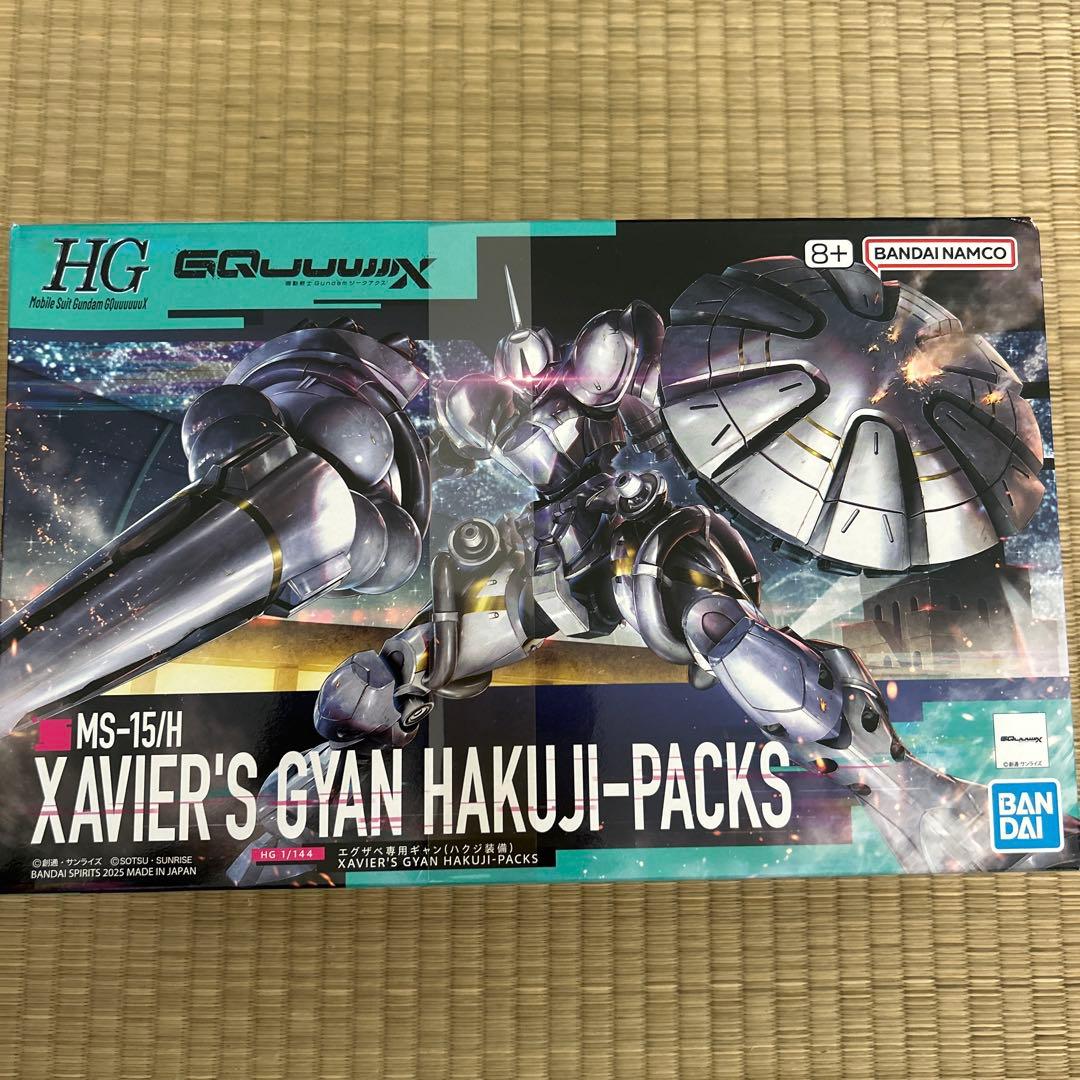 HG CHAR'S ZAKU(GO) & RICK DOM(GO) ✖️2全6機