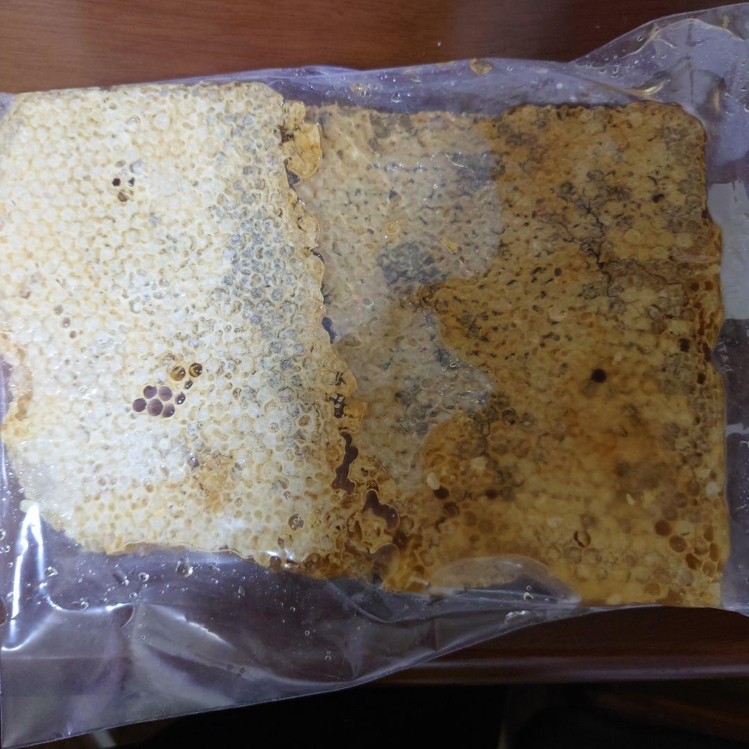 kOkO※プロフ必読※専用　6月29日採蜜　日本みつばち巣蜜コムハニー　900g