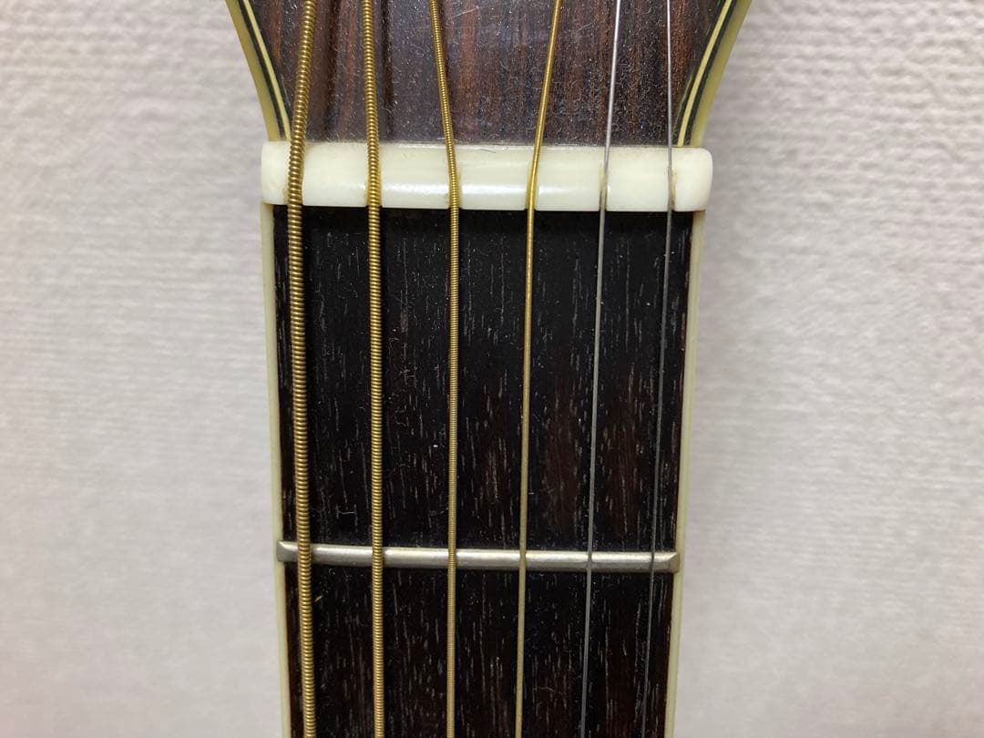 極上の木目MORRIS TF W-50モーリスアコギ(最安値、牛骨サドル)