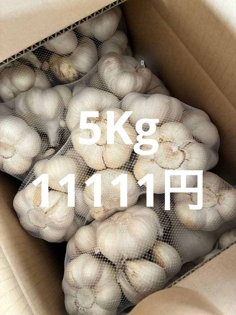 新物　青森県にんにく5Kg2L.L