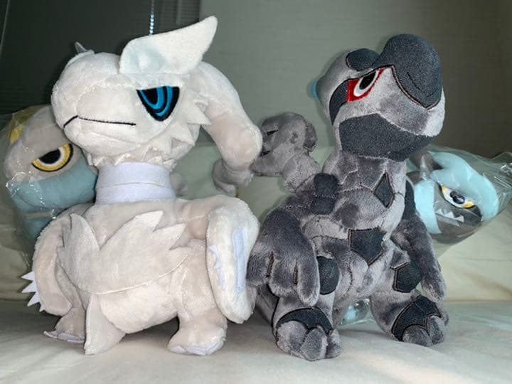 ポケドール セット