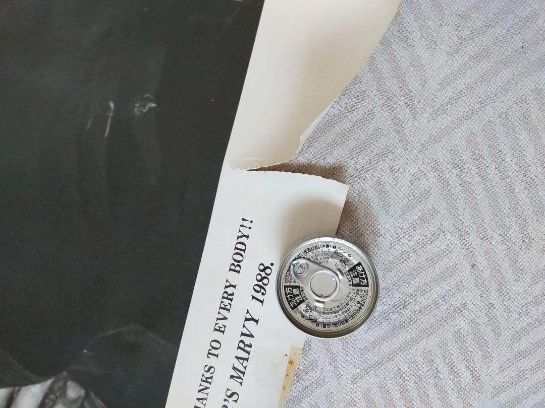 THE RC SUCCESSION 　タイマーズ　忌野清志郎　ポスターセット