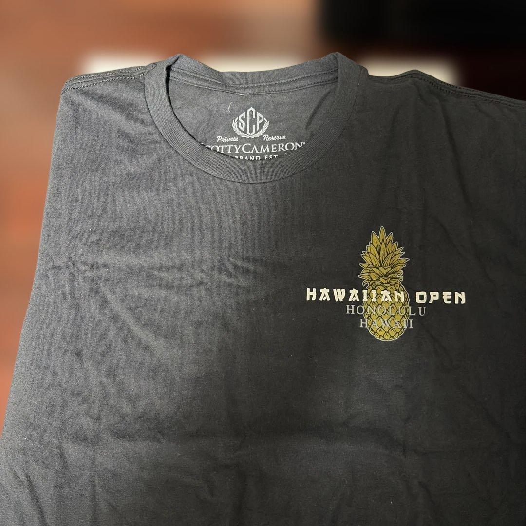 HAWAIIAN OPEN パイナップル Tシャツ M ブラック