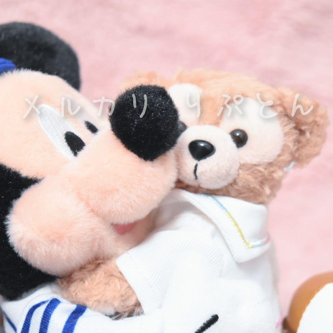 ハートフェルト・レターズ・オブ・フレンドシップ ミッキー ぬいぐるみバッジ