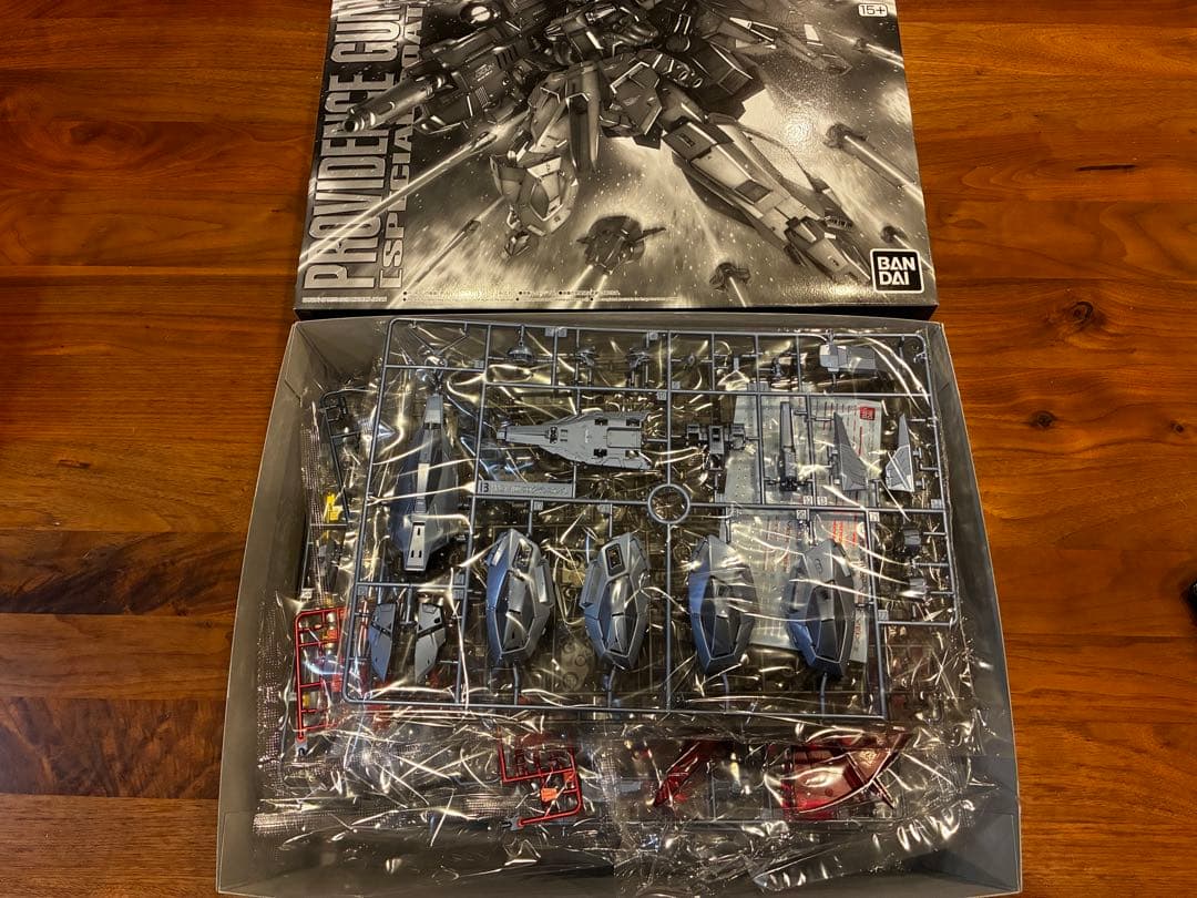 MG プロヴィデンスガンダム　スペシャルコーティング　新品未開封