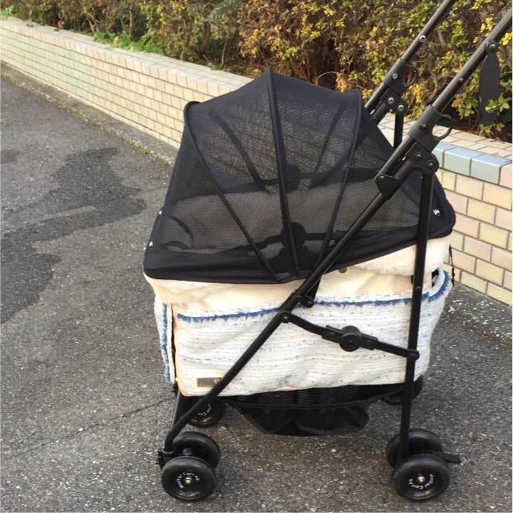 マザーカート  グラマーイズム