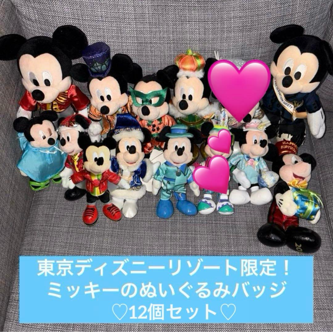ディズニーリゾート　TDR ミッキー　ぬいぐるみバッジ　ぬいば　12体セット