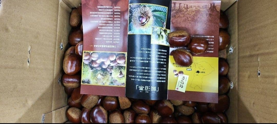 C*A様 高級　飯沼栗　10kg　2L