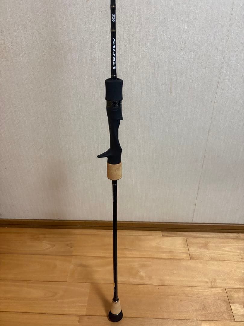 新品未使用Daiwa SALTIGA SJ 61B-5