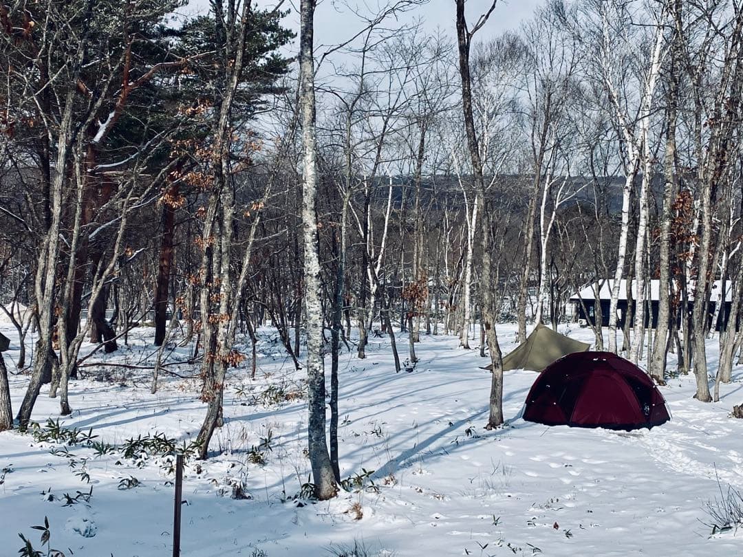 pomoly x4 pro レッド　グランドシート付き