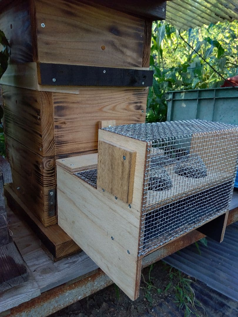 スズメバチトラップ ３個まとめ売り