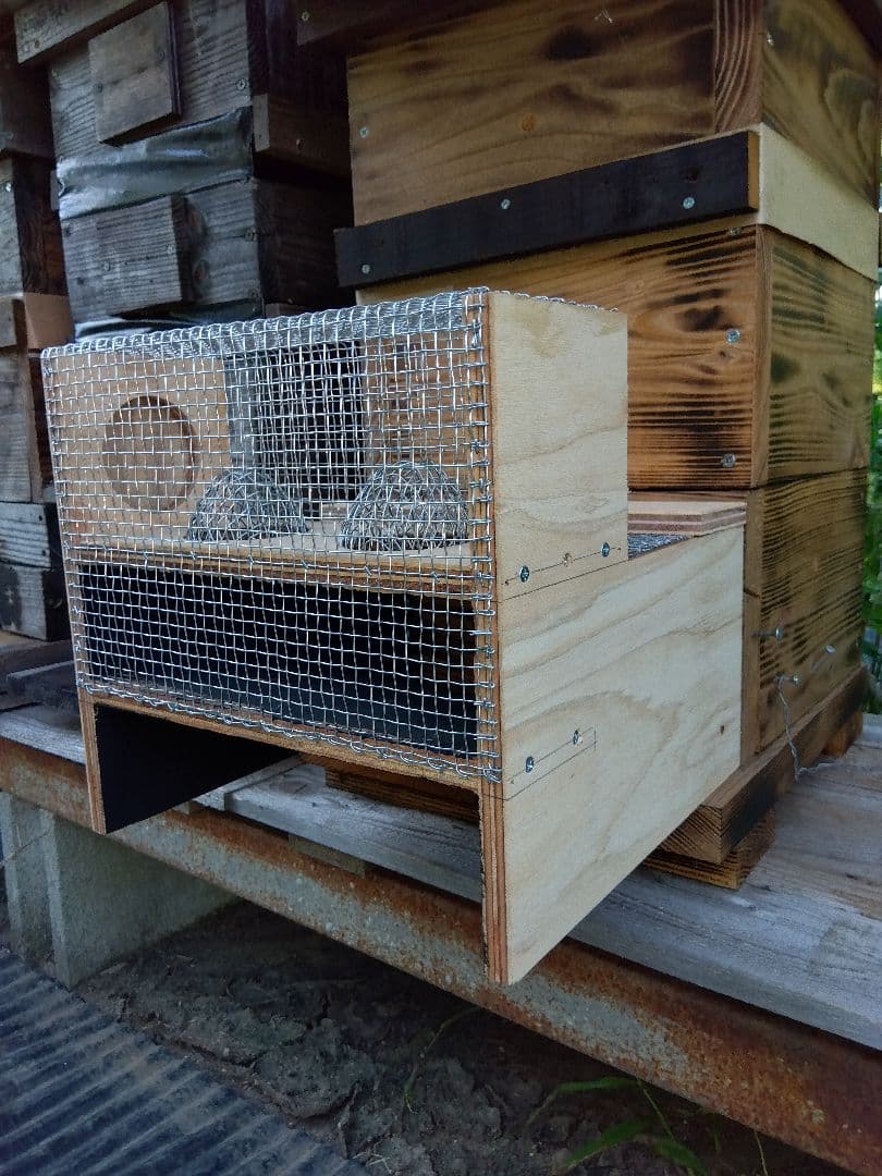 スズメバチトラップ ３個まとめ売り