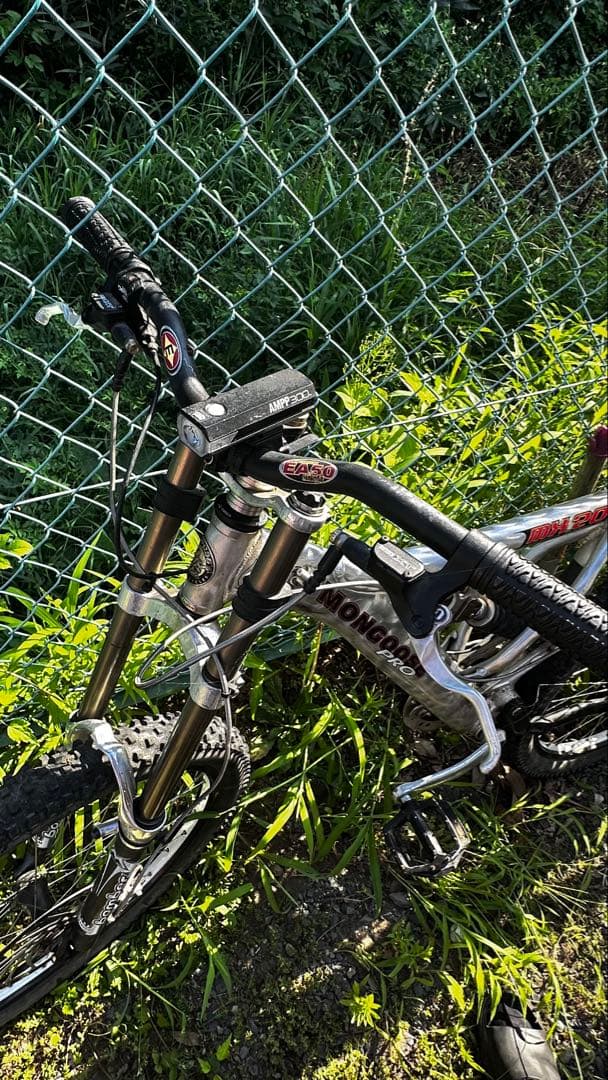 MON PRO 20thアニバーサリーモデルダウンヒルバイク