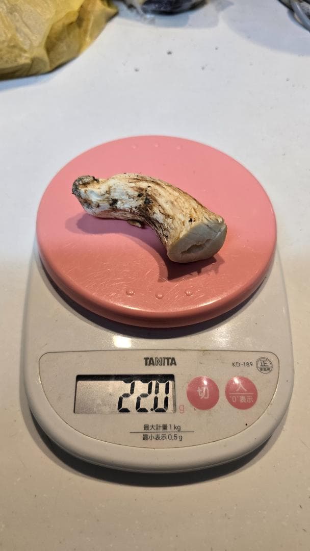 松茸 191g＋171g　10月14日獲れ　福島県産　会津