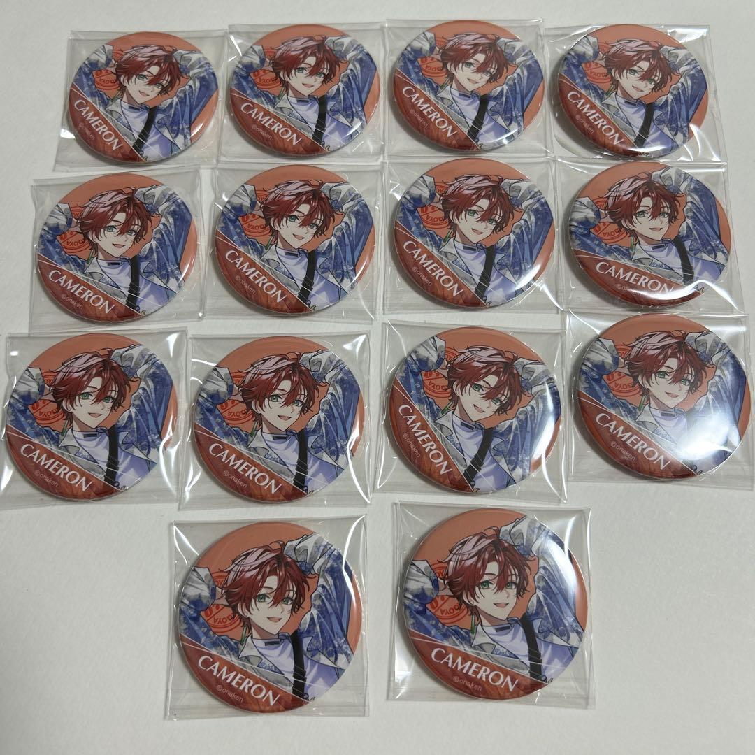 女子研究大学 女研 キャメロン おなごや 缶バッジ 14個