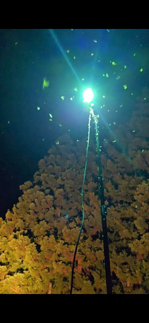 ライトトラップシステム 100v 水銀灯200w