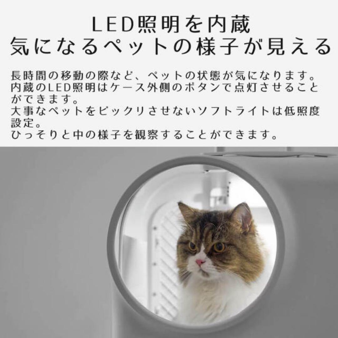 pidan ペットキャリー 新品