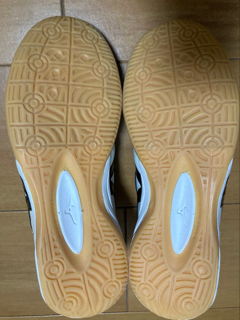 23.5cm モレリアIN モレリアTF（旧モデル）