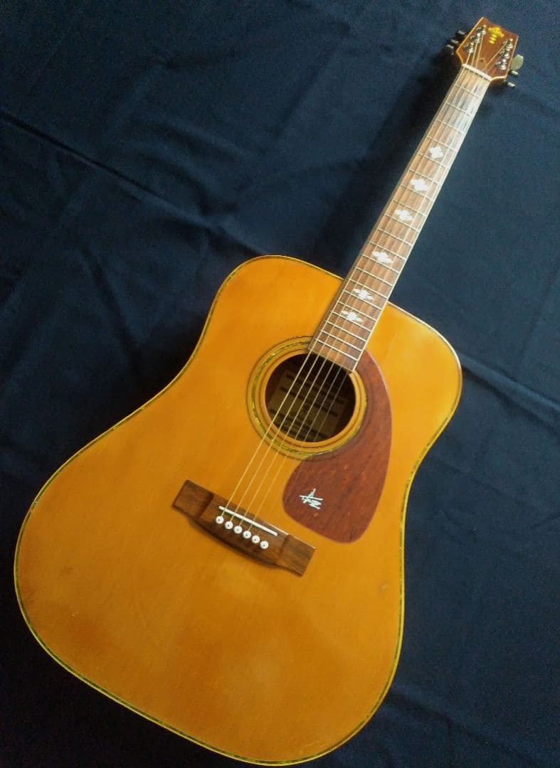 TAKEHARU GUITAR　WT-250　made in Japan