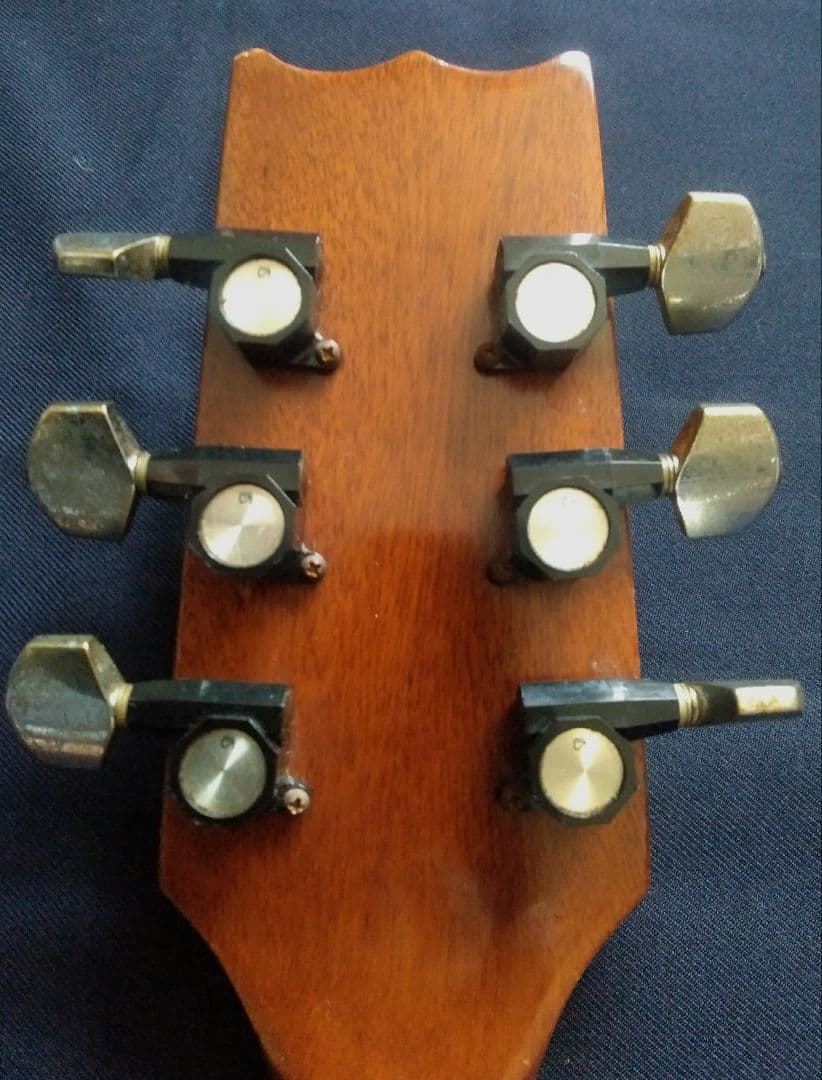 TAKEHARU GUITAR　WT-250　made in Japan