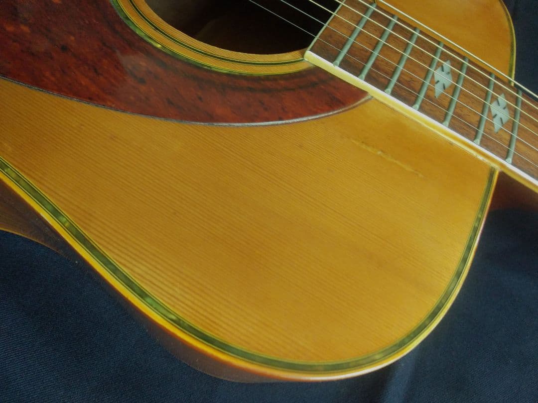 TAKEHARU GUITAR　WT-250　made in Japan