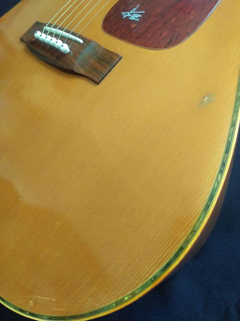 TAKEHARU GUITAR　WT-250　made in Japan