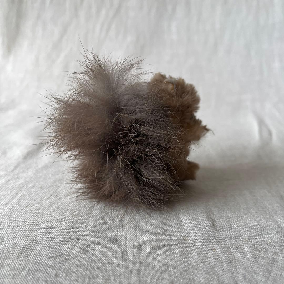 アンティーク　レア　ドイツ　リス　人形