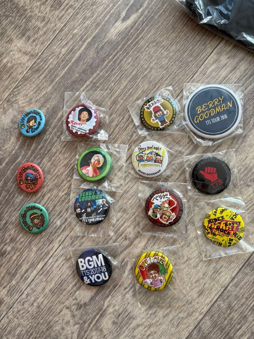 週末限定値下げ‼️BERRY GOODMAN トレーナー、バックセット