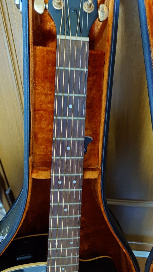 apx-6a YAMAHA　エレアコ