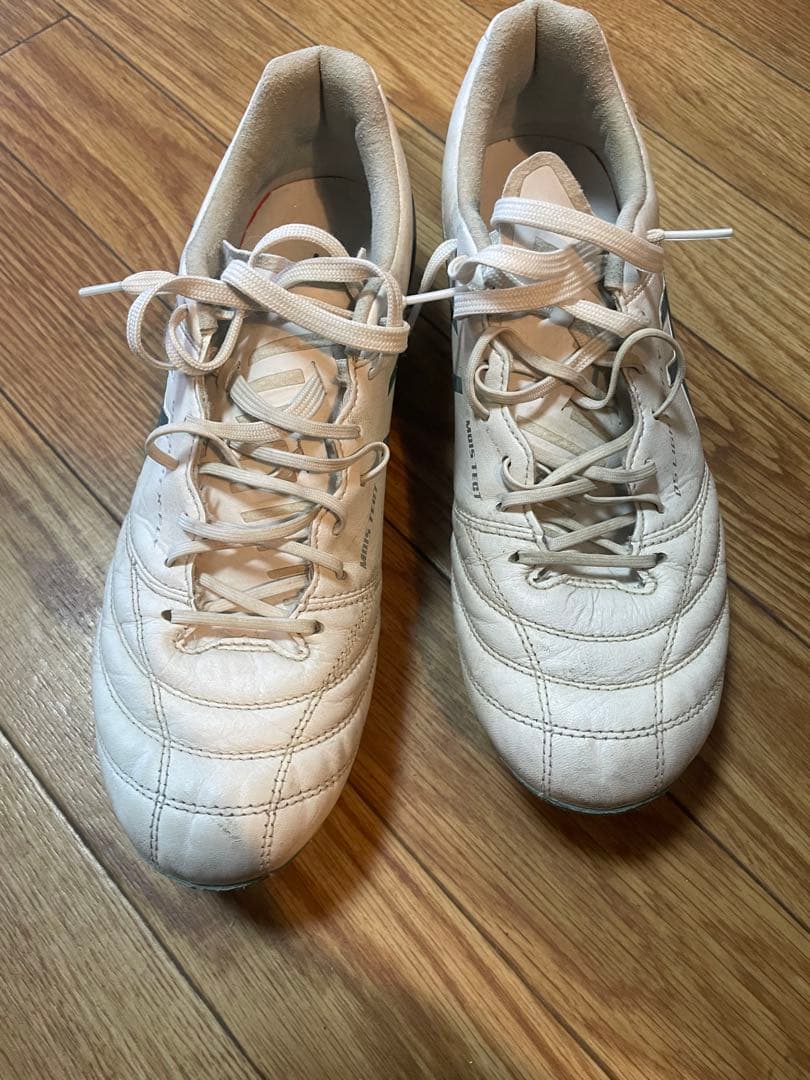 DS LIGHT X-FLY MOIS TECT 26.5㎝