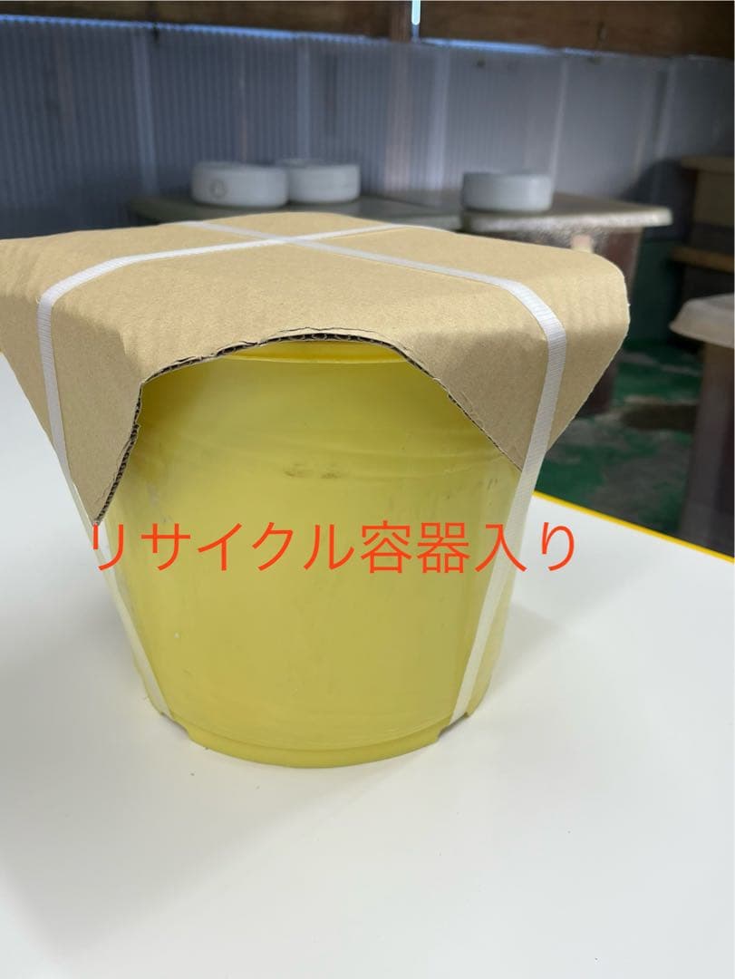 紀州産 種抜き白干し梅 果肉100％ 無添加　無選別　10kg入り