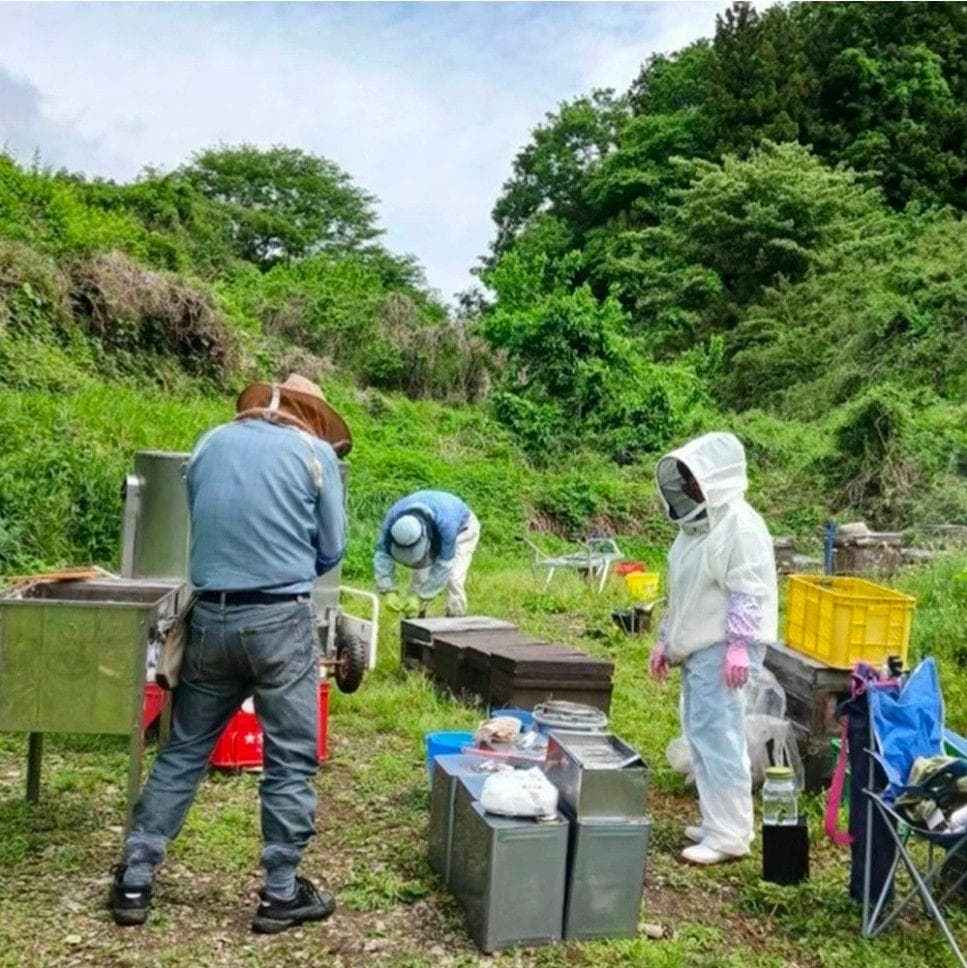 a150n【国産アカシア】八ヶ岳高原はちみつ アカシア 国産天然蜂蜜 1kg