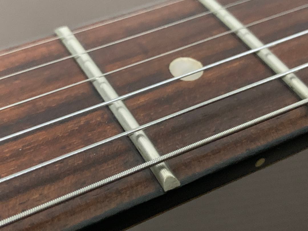 SX STANDARD SERIES CUSTOM HANDMADE ストラト