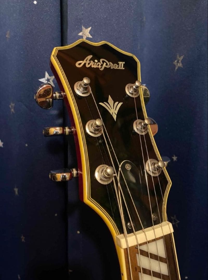 Aria Pro 2 TA-700 (Ritter Gig Bag付き)