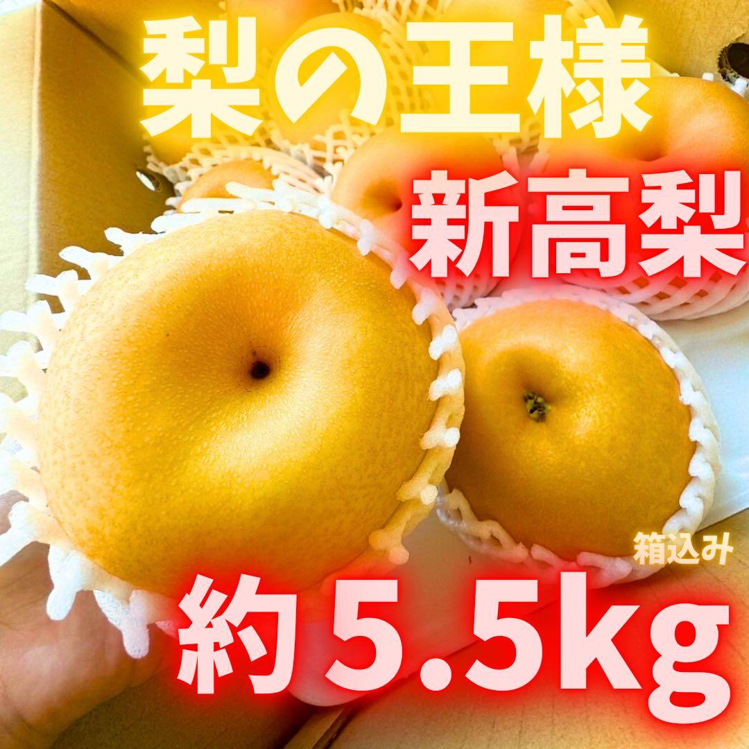 梨　新高梨　10玉　　25