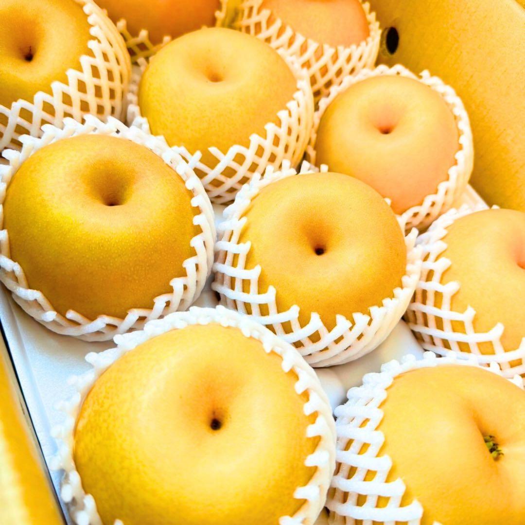 梨　新高梨　10玉　　25