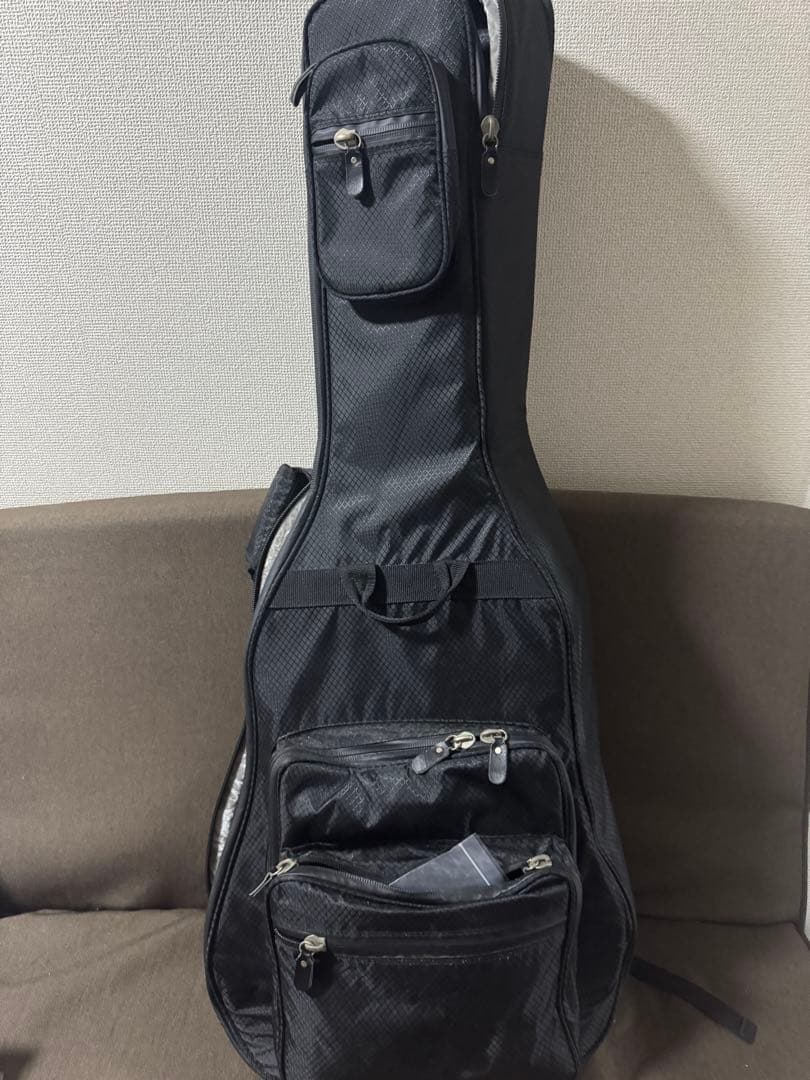 ESPエレキギター　月末値下げ中‼️