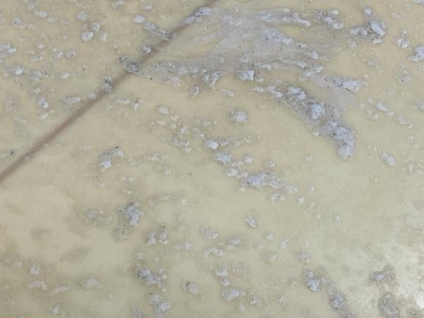 Webber After burner サーフボード サーフィン マリンスポーツ