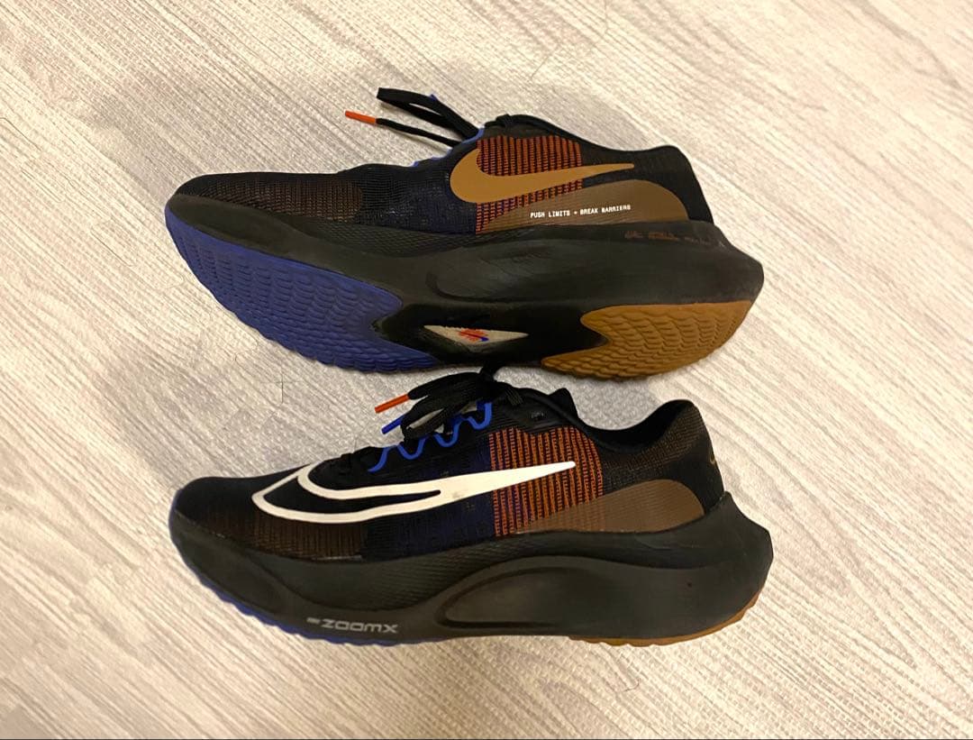 NIKE ZOOM FLY 5 A.I.R. HOLA LOU ズームフライ5