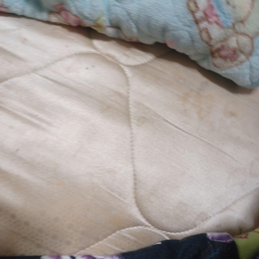 ❤パクパク酵母くん❤3箱セット(2.13g‪)‪✕‬31袋 新品未開封