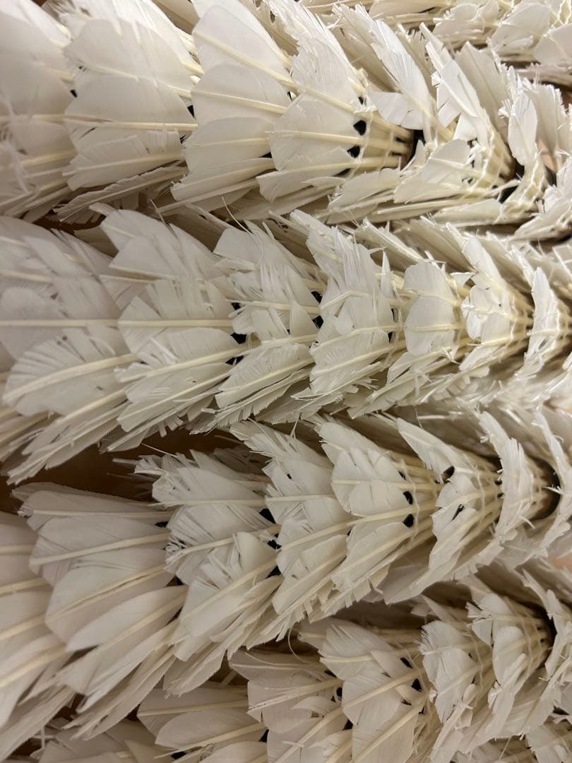 バドミントン中古シャトル　ヨネックス　ゴーセン他　240球