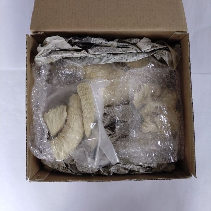 浅井造型 逆ゴジ 大阪蹂躪