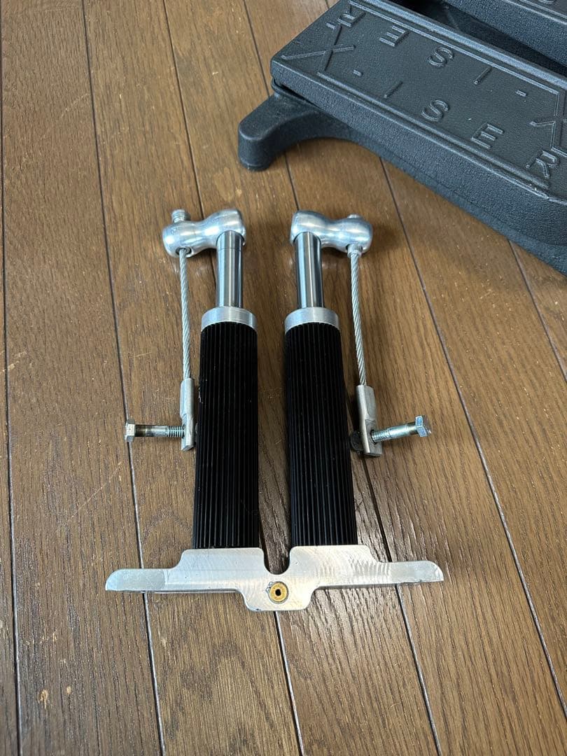 Xiser X-ISER エクサー ステッパー　プロトレーナー　xiser